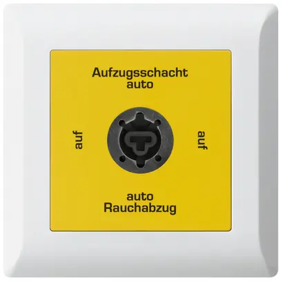 Interruttore a chiave INS kallysto.line per estrattore fumi tedesco bianco 