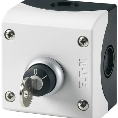 Interrupteur à clé AP ETN 10A 1F/O gris 