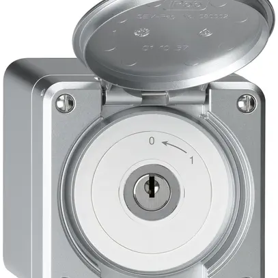 AP-Schlüsselschwenktaster robusto IP55 aluminium mit Deckel 1P 