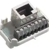 Interno cat.5 R&M 1×RJ45/s 8P morsetti a vite, swissline 