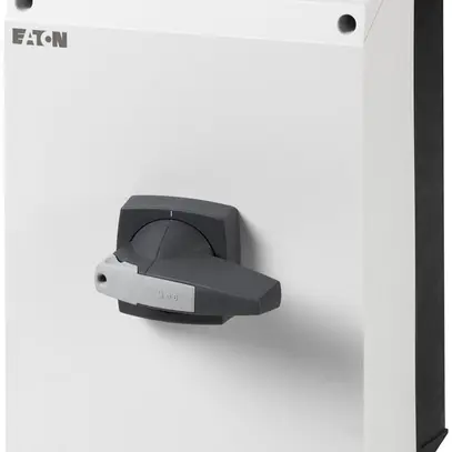 Interruttore di carico AP ETN 125A/4L bottone grigio 