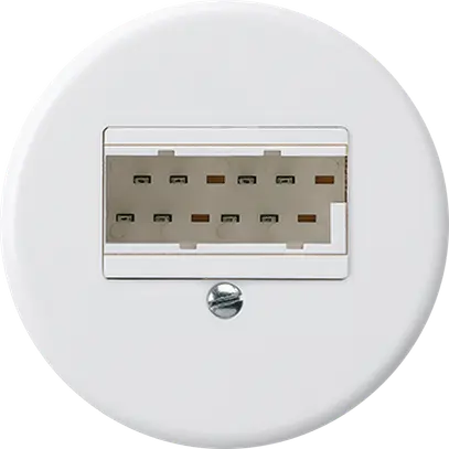 Einsatz zu UP-Dose basico 2×TT83 weiss 