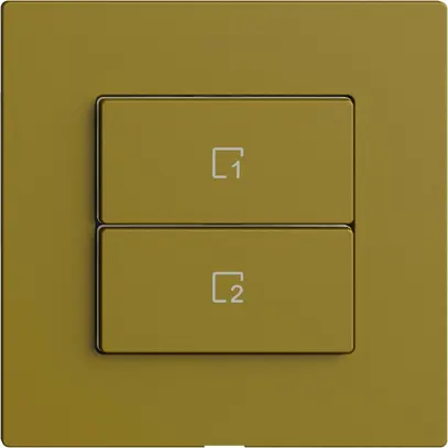 Poussoir scène 2 scènes vertical/2T WLAN Edue Wiser olive 