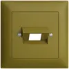 Kit frontale EDIZIOdue olive 88×88mm 1×RJ45 