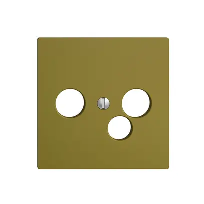 Plaque frontale EDIZIOdue olive pour prise de date pour R/TV 