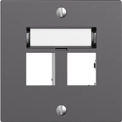 Kit montaggio EDIZIOdue uscita dritta, per 2×RJ45 freenet, grigio scuro 