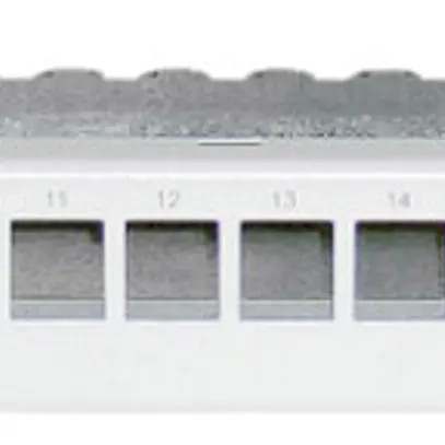 Panneau patch 19" Dätwyler MGK 1UH pour 24×GG45, gris 