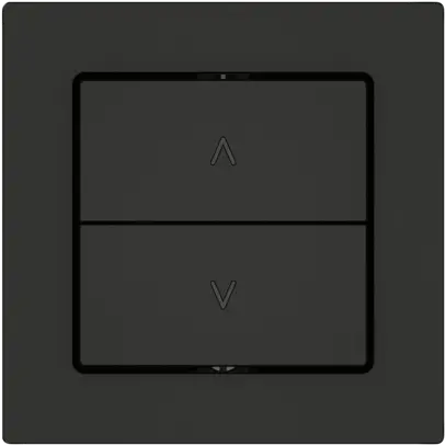 Pulsante per tapparelle EDIZIO.liv SNAPFIX® 10A 250V 2 tasto 1 canale ne 