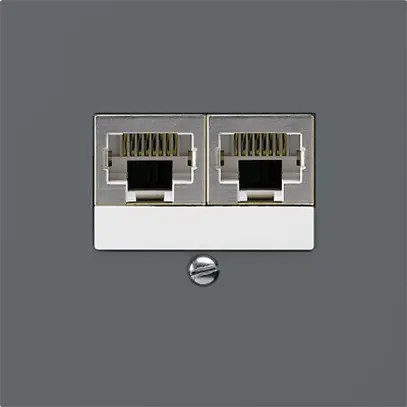 Boîte ENC kallysto 2×RJ45s séparé CUC anthracite 