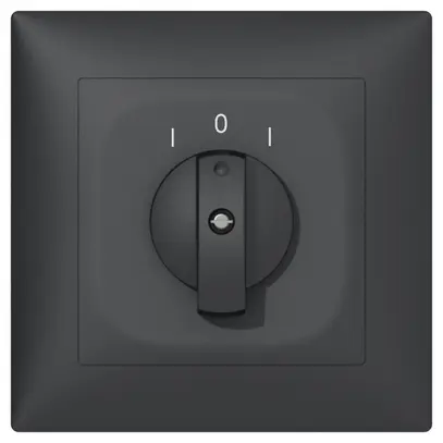 Contact pivotant ENC SIDUS B 2CT anthracite 