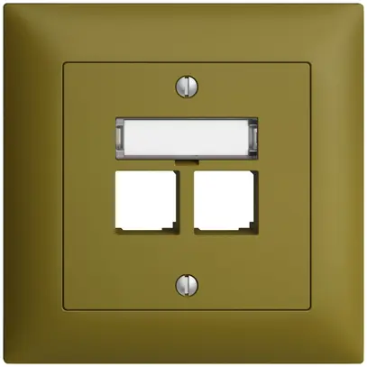 Kit di montaggio INC S-One EDIZIOdue FMI per 2×RJ45 diritto, olive 