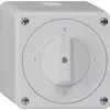 Interruttore rotativo AP robusto IP55 schema 0/2P grigio 