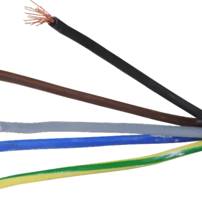 Câble Td 5×1.5mm² 3LNPE noir Eca Rouleau à 100m