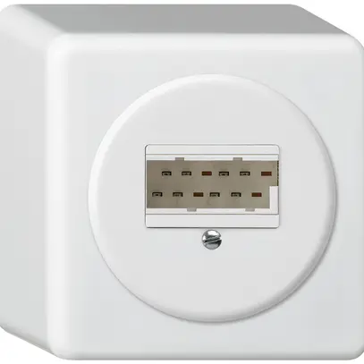 Scatola di raccordo AP basico 2×TT83 bianco 