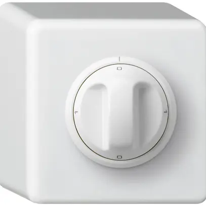 Interruttore rotativo AP basico 0/1L bianco con manopola 