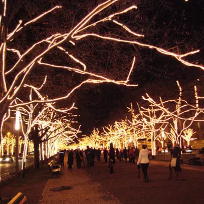 Tubo luminoso LED ELBRO 230V Ø13mm 45m bianco caldo, orizzontale 