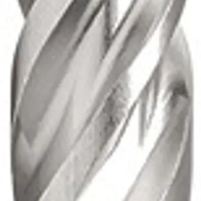 Hammerbohrer EFCO SDS-Plus 4×4 S, 5×165/100mm 