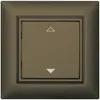 Pulsante RF AP ALADIN EnOcean EDIZIOdue, 1-volta, marrone, V/Λ 