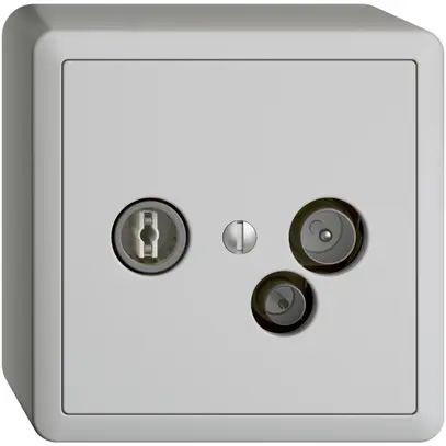 Prise de données AP TV-R DD19 5…65MHz EDIZIOdue gris clair 