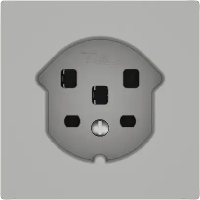 Prise EDIZIO.liv SNAPFIX® 1×T25 grc 