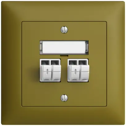 Presa audio INC Push Type EDIZIOdue FMI, 2×, kit di dicitura, olive 