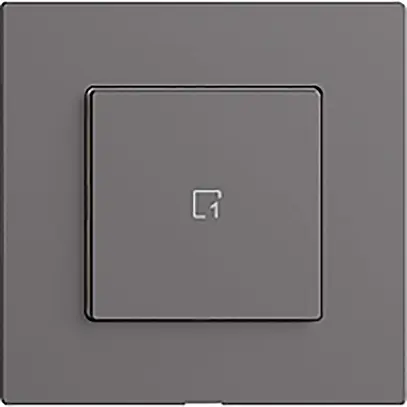 Pulsante scena 1 scena/1T Edue Wiser grigio scuro 