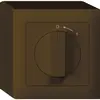 AP-Schwenktaster 0<-1/1L br kallysto mit Drehgriff 