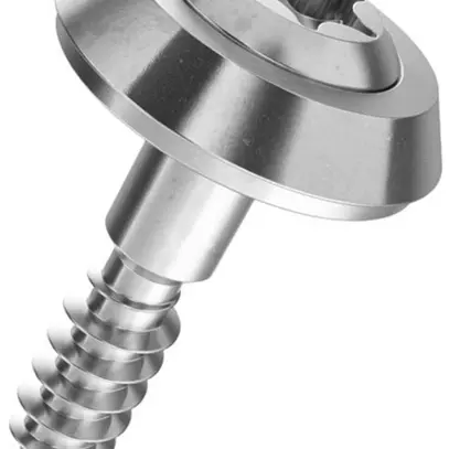 Vite per facciata a testa bombata SFS Ferronorm T25 4.5×45mm 