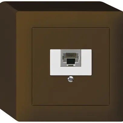 Boîte AP kallysto 1×RJ45s brun 