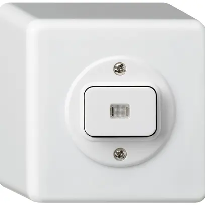 Pulsante luminoso AP basico AR/1L bianco 