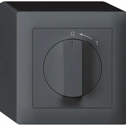 Contact pivotant AP 0<-1/1L anthracite kallysto avec manette 