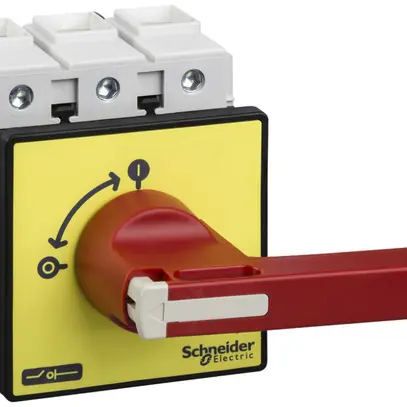 Interruttore principale INS Schneider Electric 125A 3L 