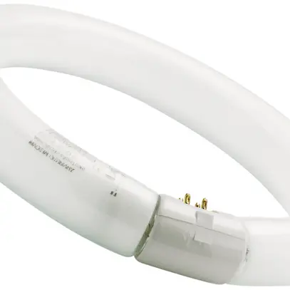 Lampe UV FC T9 Circline G10q 22W BL368 8" 