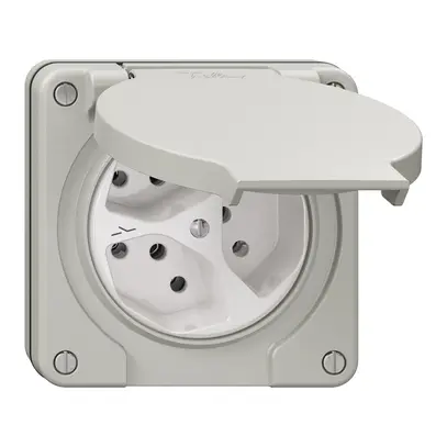 Prise NUP NEVO, 3×T13, IP21, 1×séparé, gris clair 