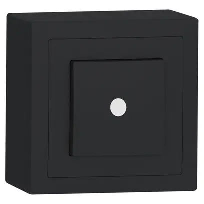 Interrupteur lumineux AP SIDUS A 3/c anthracite 