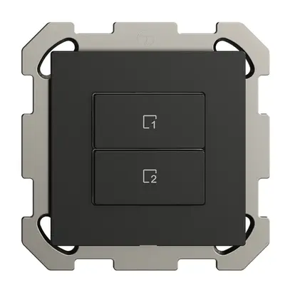 UP-Szenentaster 2 Szenen vertikal/2T WLAN Edue Wiser schwarz 