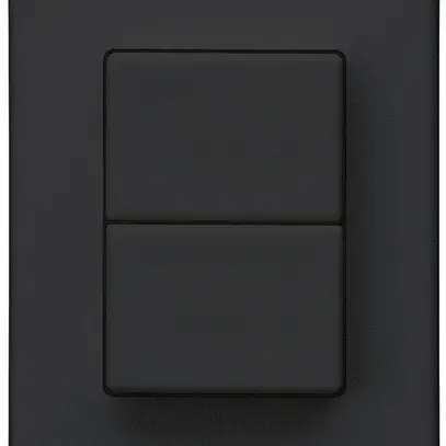 Interruttore a pulsante 2× INS Hager FLF 10A/250V 1/1L nero 