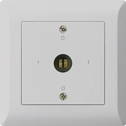 Interrupteur à clé à canon ENC kallysto.line 0/1L gris clair 