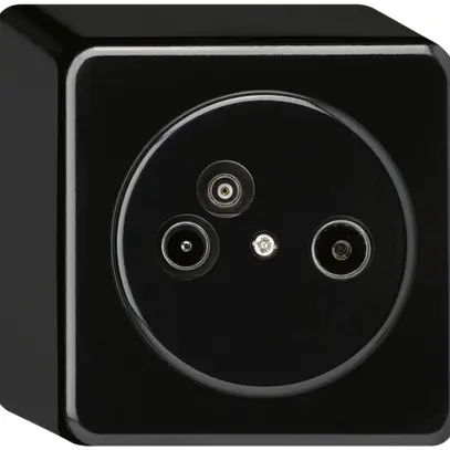 Presa d'antenna AP TV-R-Dati basico 2GHz 14db nero 