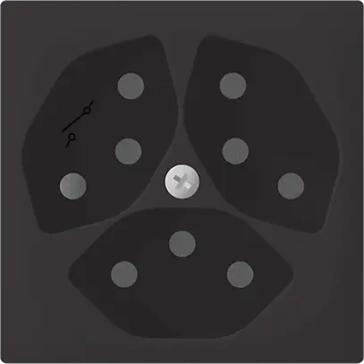 Prise SIDUS 3×T13/1 anthracite 