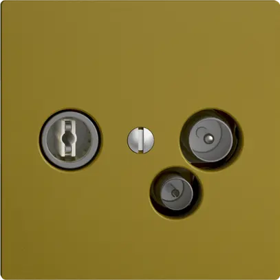 Presa dati TV-R DD11 5…65MHz EDIZIOdue olive 