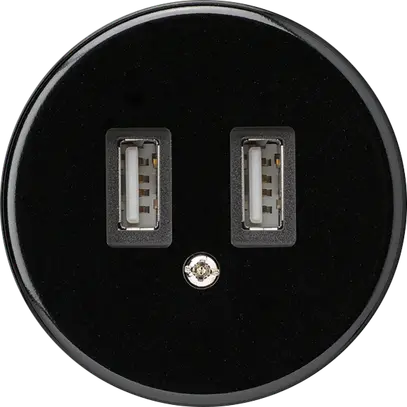 Prise USB basico A 2400mA noir 