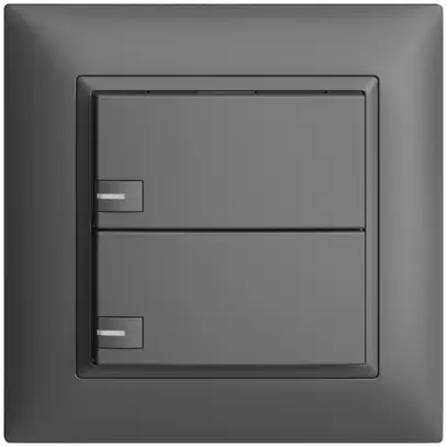 Poussoir univ. ENC 2×1t bornes enf. EDIZIOdue gris foncé, avec LED 