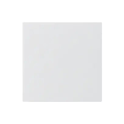 Frontplatte kallysto für Blindabdeckung weiss ohne Schraube 