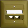 UP-Montageset S-One EDIZIOdue FMI für 2×RJ45 schräg, olive 