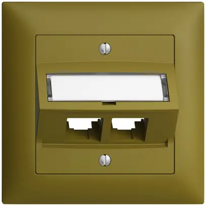 Kit de montage ENC S-One EDIZIOdue FMI pour 2×RJ45 oblique, olive 