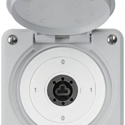 Interruttore a chiave INC robusto IP55 con copertura senza cilindro S0/1P grigio 