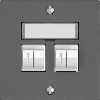 Presa audio EDIZIO.liv SNAPFIX® 2× grs 