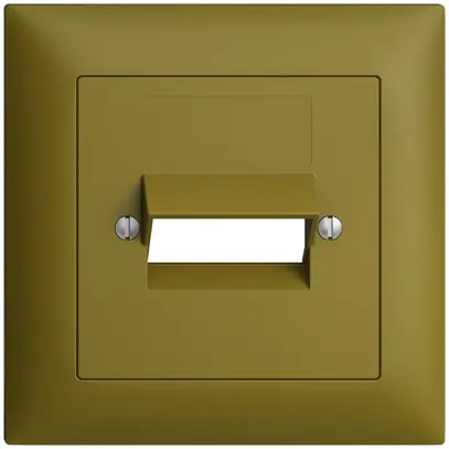 Kit frontale EDIZIOdue olive 88×88mm 2×RJ45 