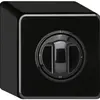 Interruttore rotativo AP basico 2/1L nero con manopola 